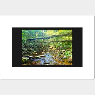 Riverbed Mountain Stream Posters and Art